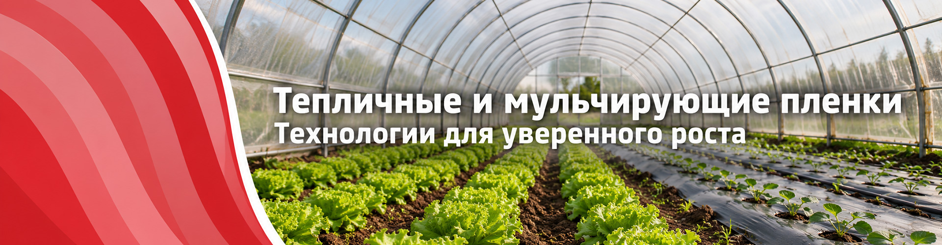 Тепличная и мульчирующая пленка для растениеводства
