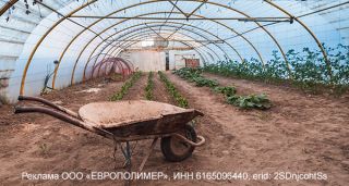 Надёжные тепличные пленки «ЕВРОПОЛИМЕР»: гарантия до 5 лет для вашего урожая!