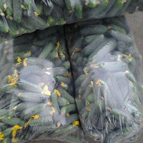 Пакеты под огурцы